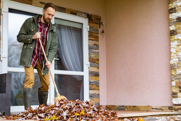 Best Basement Cleanout Services  in Wade, MS